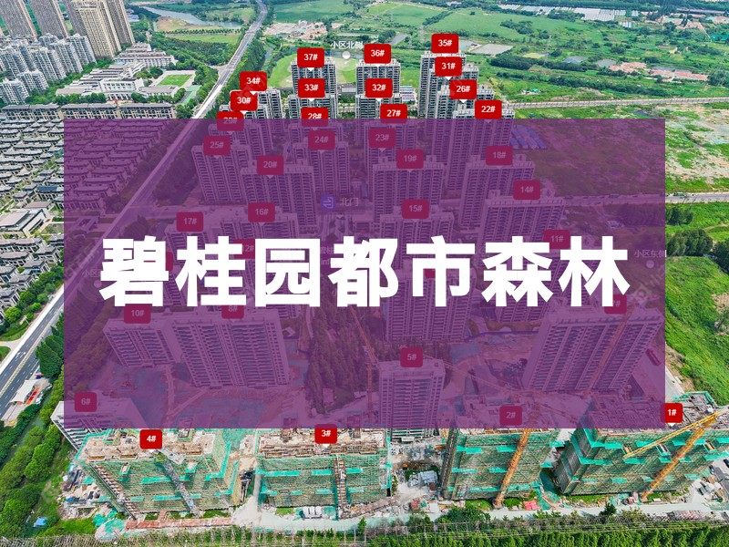 常州市2024年11月人气小区测评之碧桂园都市森林