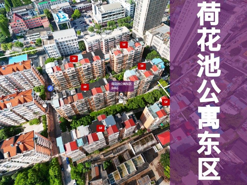 常州市2025年1月人气小区测评之荷花池公寓东区