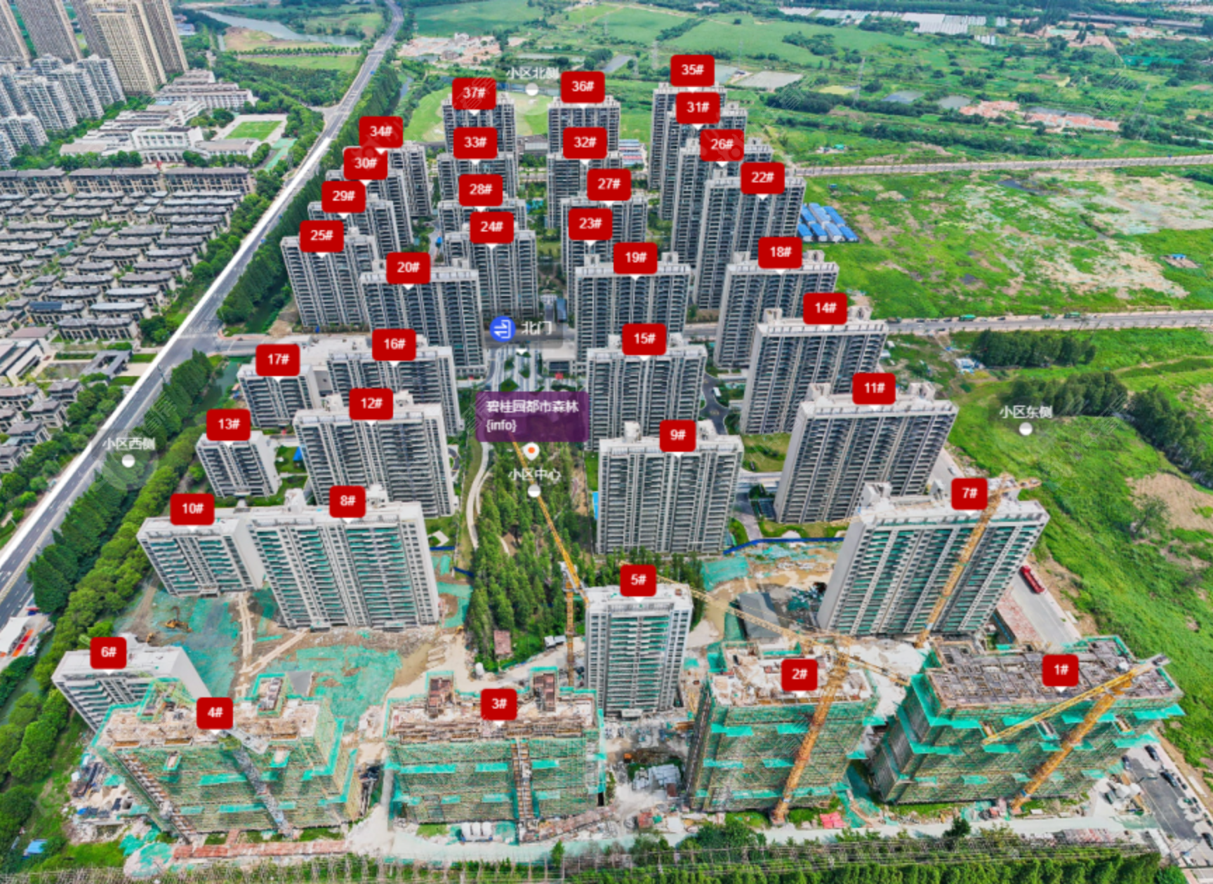 图片8