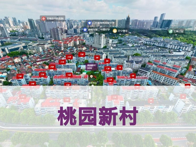 常州市2024年10月人气小区测评之桃园新村