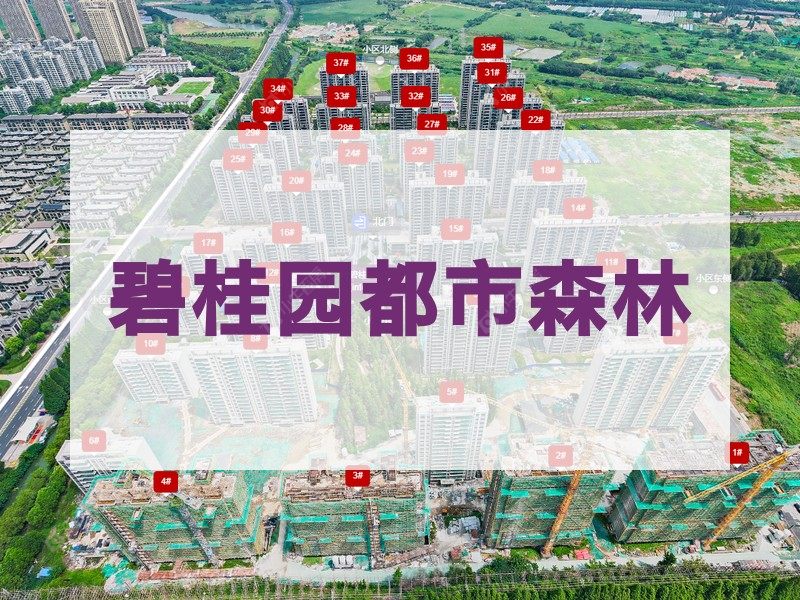 常州市2025年1月人气小区测评之碧桂园都市森林