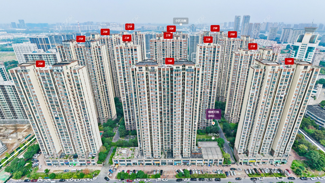 图片6