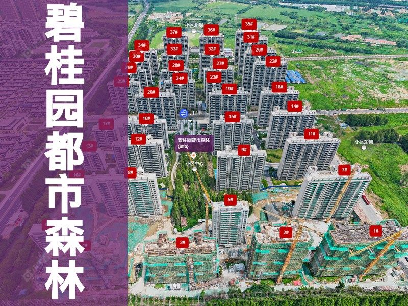 常州市2025年2月人气小区测评之碧桂园都市森林