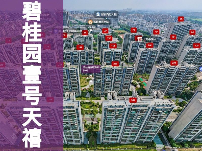常州市2025年1月人气小区测评之碧桂园壹号天禧