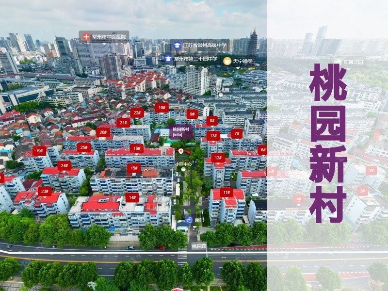 常州市2025年2月人气小区测评之桃园新村
