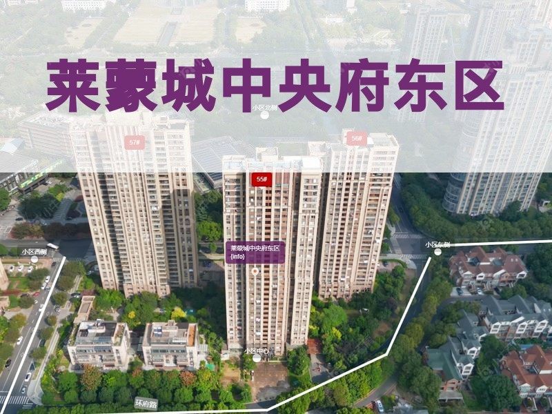 常州市2024年11月人气小区测评之莱蒙城中央府东区